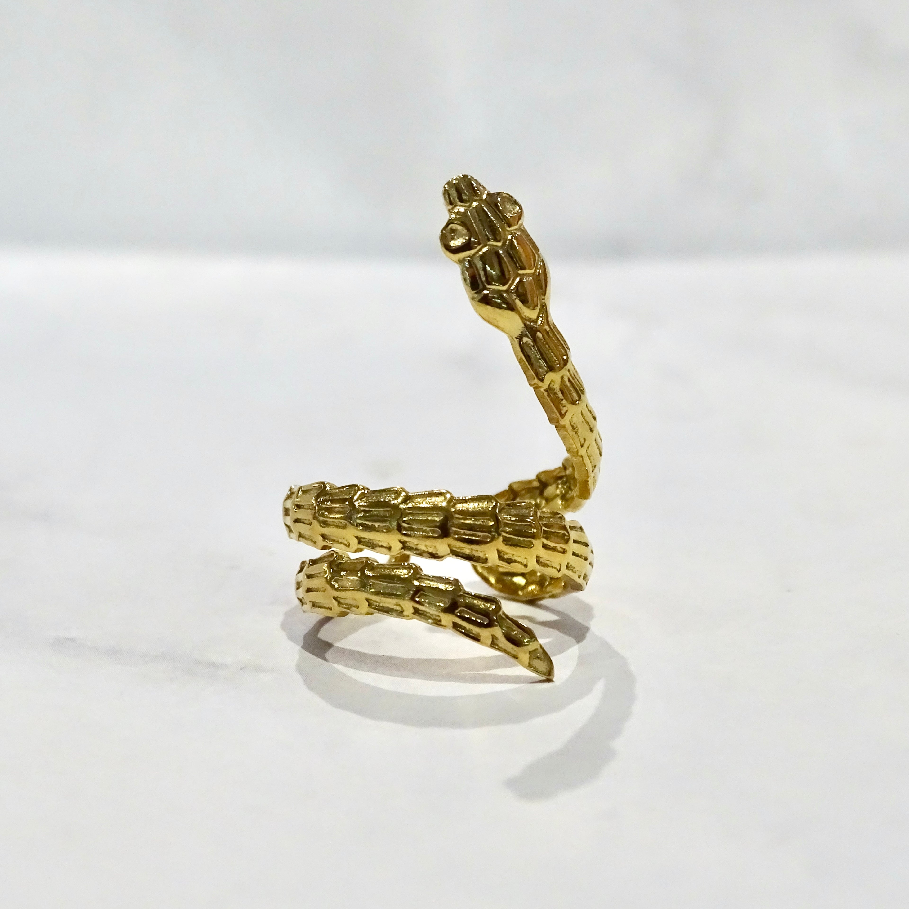 Anillo Acero Inoxidable Serpiente Envuelta