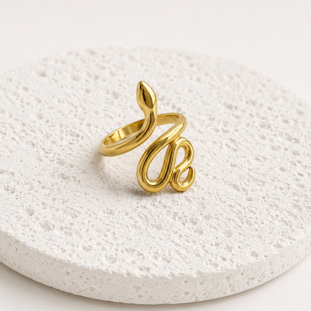 Anillo Acero Inoxidable Serpiente Lisa