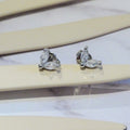Aretes Acero Inoxidable Hojitas mini Transparente