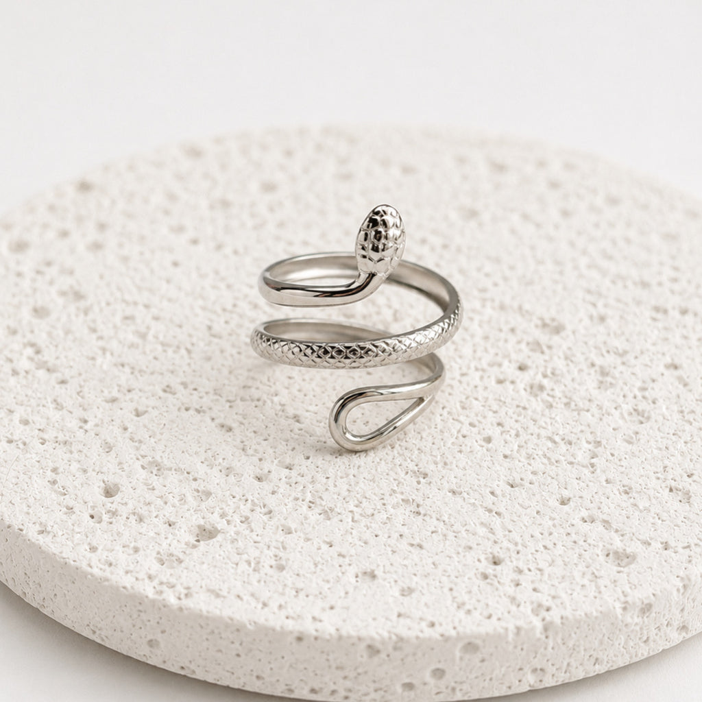 Anillo Acero Inoxidable Serpiente Doble