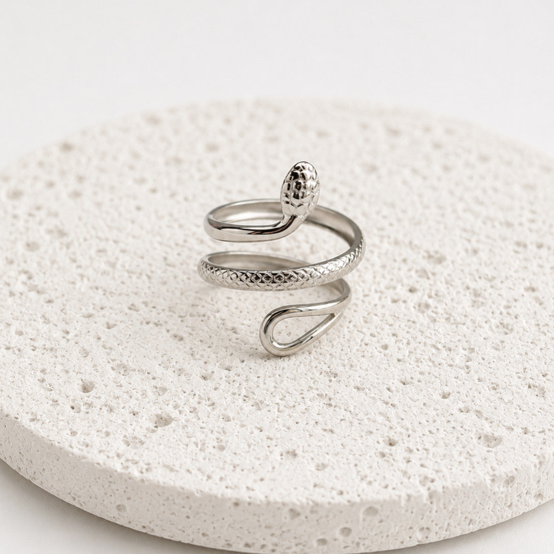 Anillo Acero Inoxidable Serpiente Doble