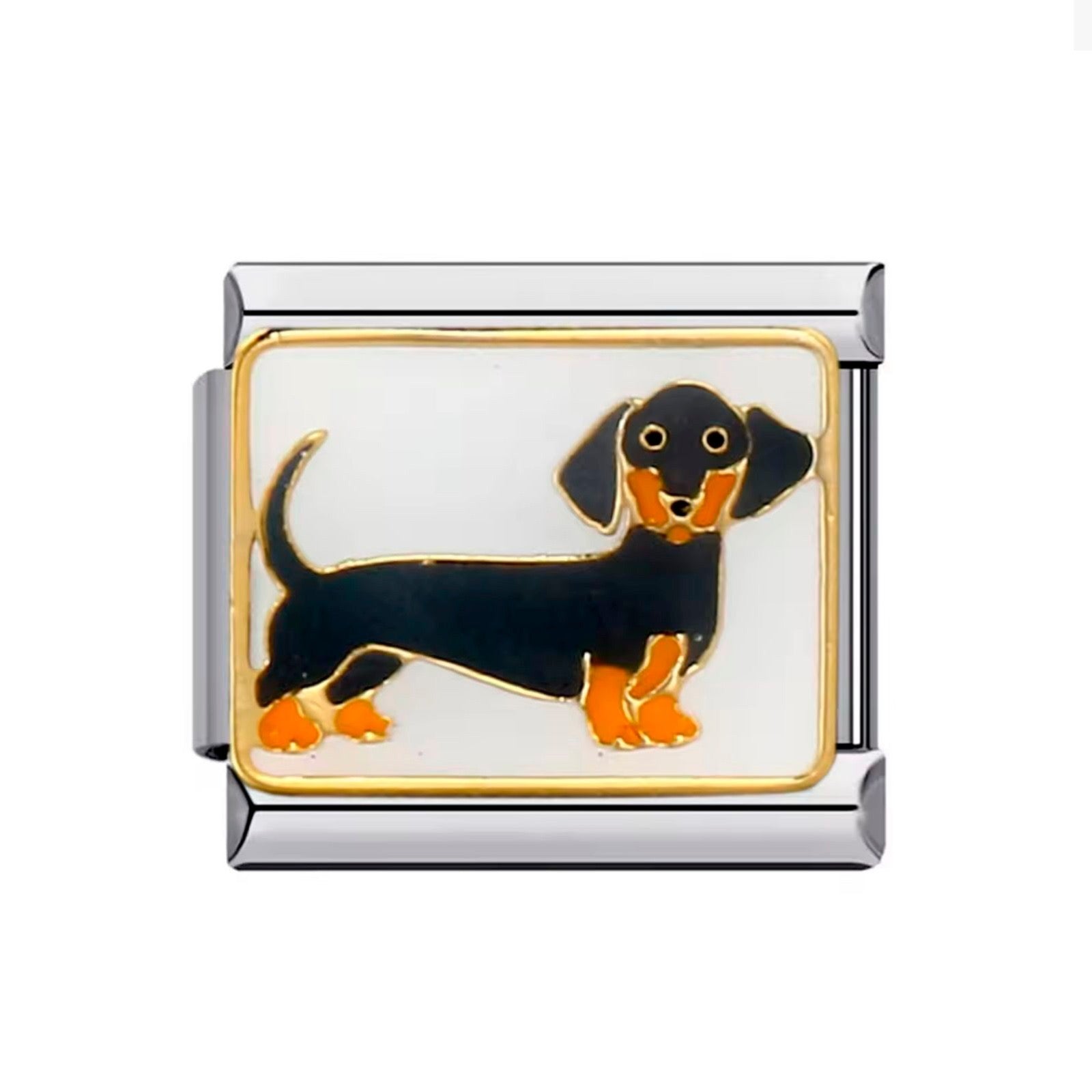 Charm Italian Dachshound