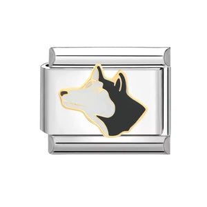 Charm Italian Husky