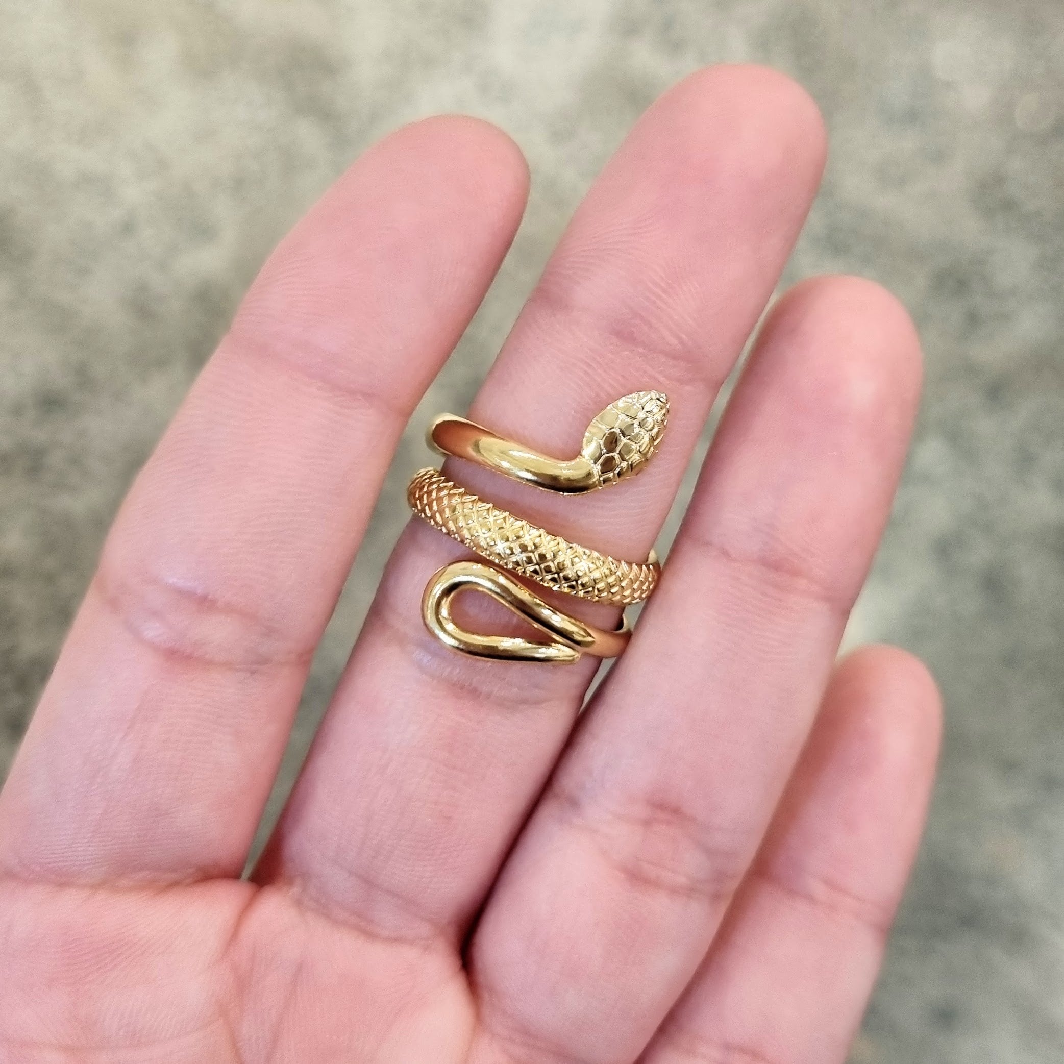 Anillo Acero Inoxidable Serpiente Doble