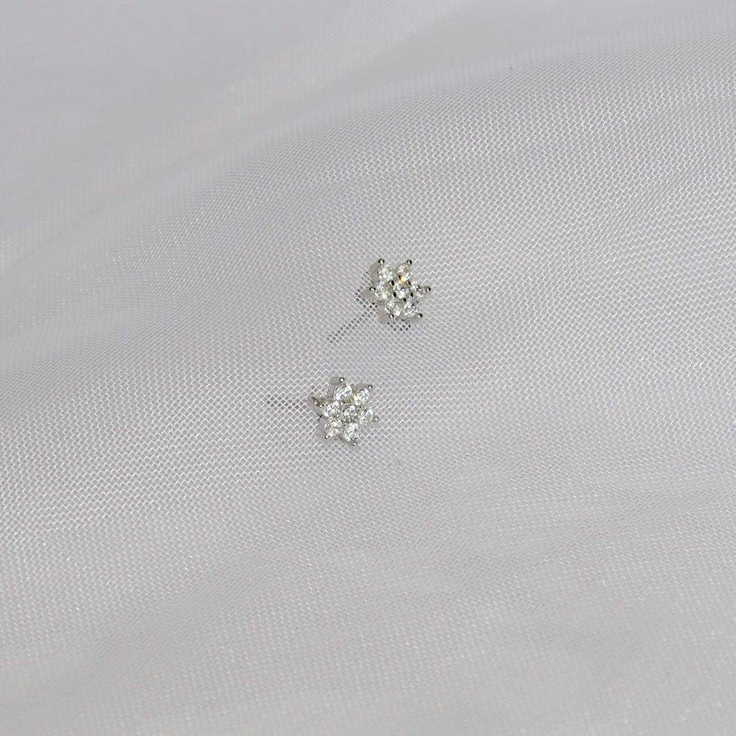 Aretes Plateados Flor Mini